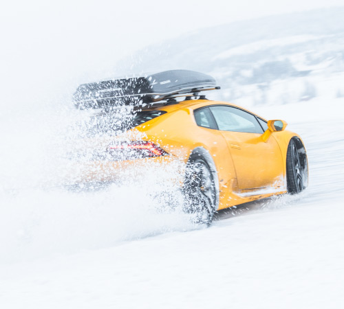 Condition: Forecast Snow
